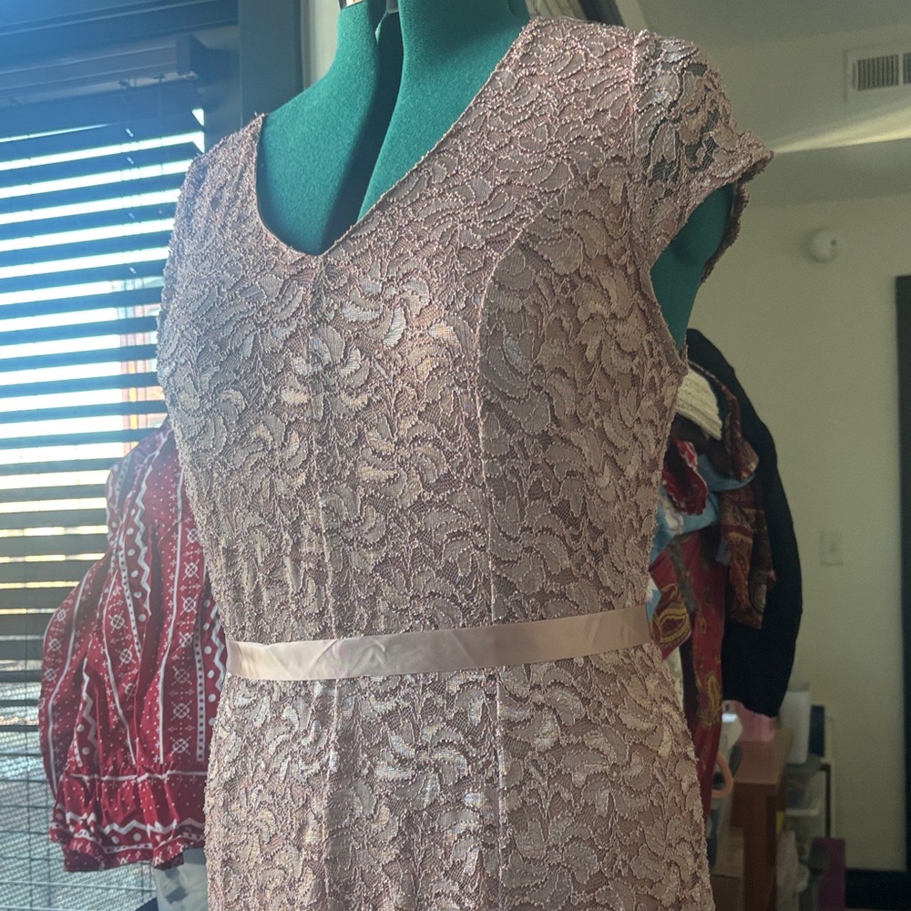 Blush Lace V-Neck Evening Dress - Elegant Women's Gown - Picture 5 of 6